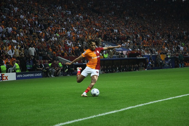 将粮食综合 将粮食综合