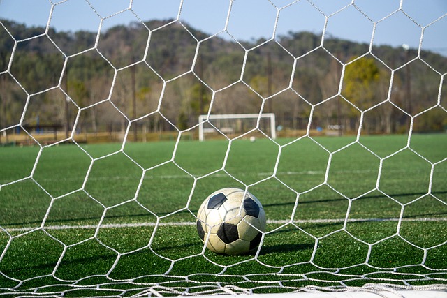 球员状态的 球员状态的