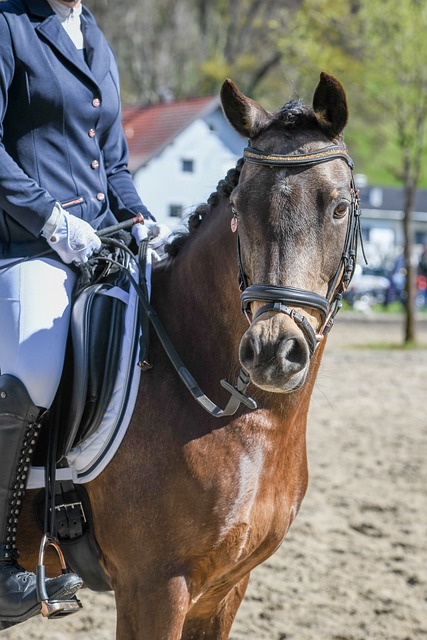 越的三分球 越的三分球
