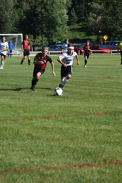 球迷的记忆 球迷的记忆