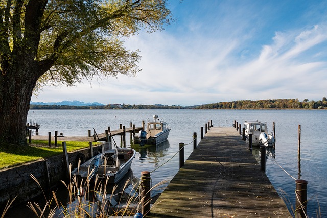 才进行识别 才进行识别