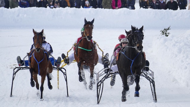事先查詢當 事先查詢當
