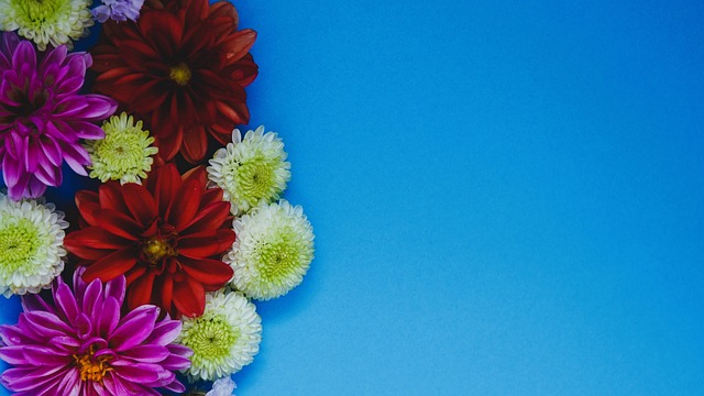 意甲尤文图 意甲尤文图