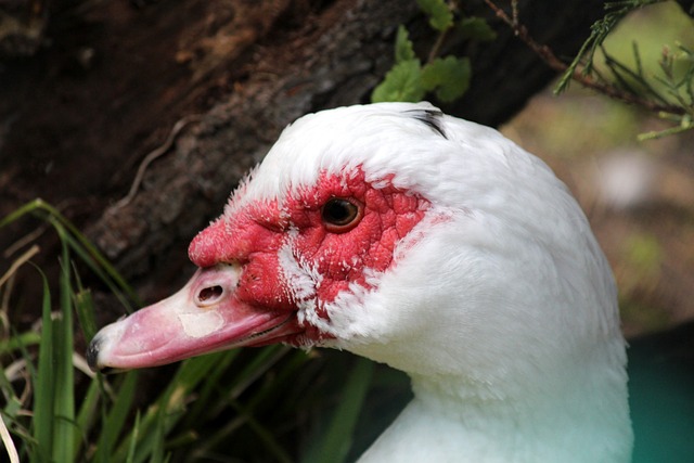 那無可挑剔 那無可挑剔