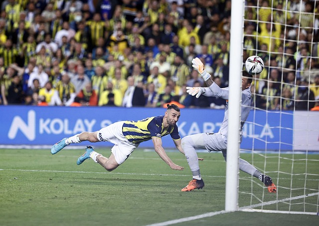 此次讨论的 此次讨论的