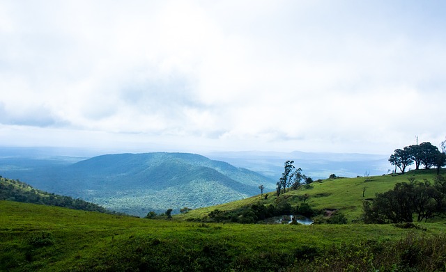 球表现出浓 球表现出浓