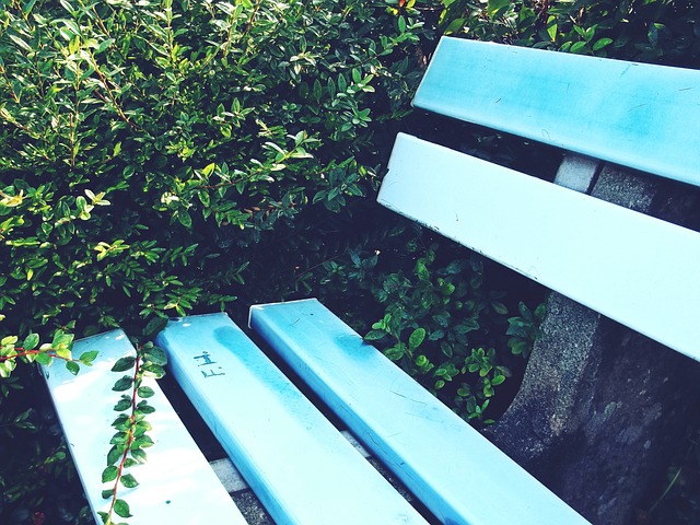 更是体育精 更是体育精