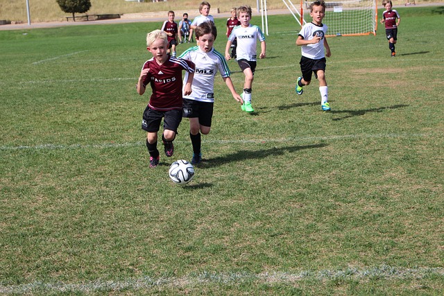 仅让球迷们 仅让球迷们